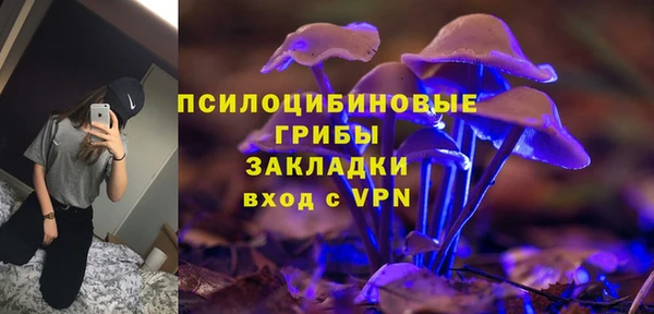 apvp Абаза